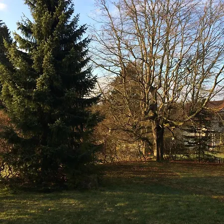 Holiday home Altes Forsthaus Kniebis Freudenstadt