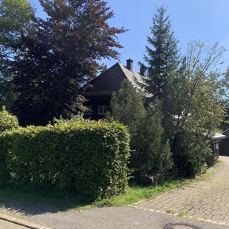 Altes Forsthaus Kniebis | | Nachtloipe | Eingezaeunt