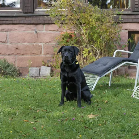 Altes Forsthaus Kniebis | | Nachtloipe | Eingezaeunt Дом отдыха *