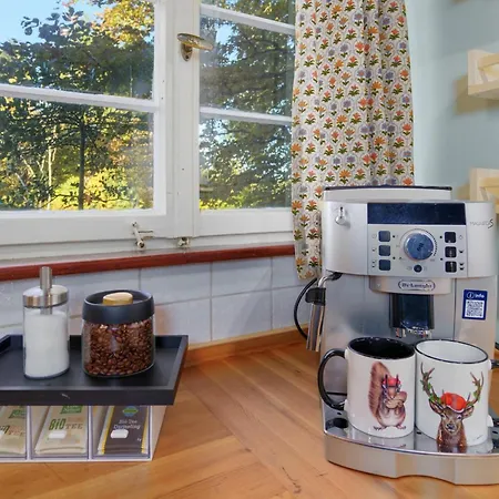 Сasa de vacaciones Altes Forsthaus Kniebis | | Nachtloipe | Eingezaeunt Freudenstadt