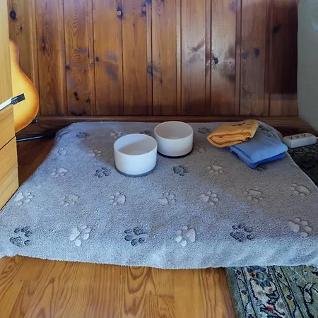 Сasa de vacaciones Altes Forsthaus Kniebis | | Nachtloipe | Eingezaeunt Freudenstadt