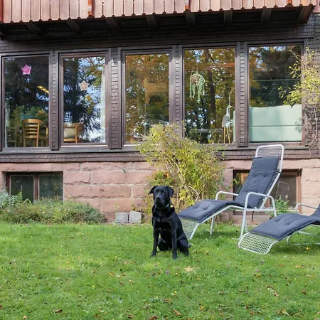 Altes Forsthaus Kniebis | | Nachtloipe | Eingezaeunt * Фройденштадт