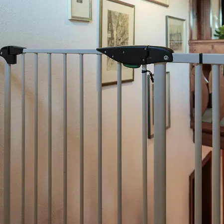 Altes Forsthaus Kniebis | | Nachtloipe | Eingezaeunt Фройденштадт