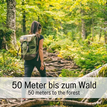 Сasa de vacaciones Altes Forsthaus Kniebis | | Nachtloipe | Eingezaeunt *